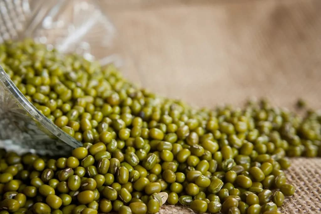 Green mung beans spilling from a glass bowl onto jute
