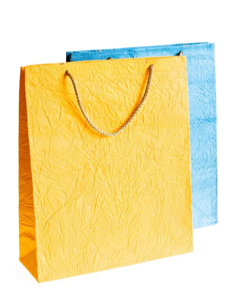 Two paper carrier bags with rope handles
