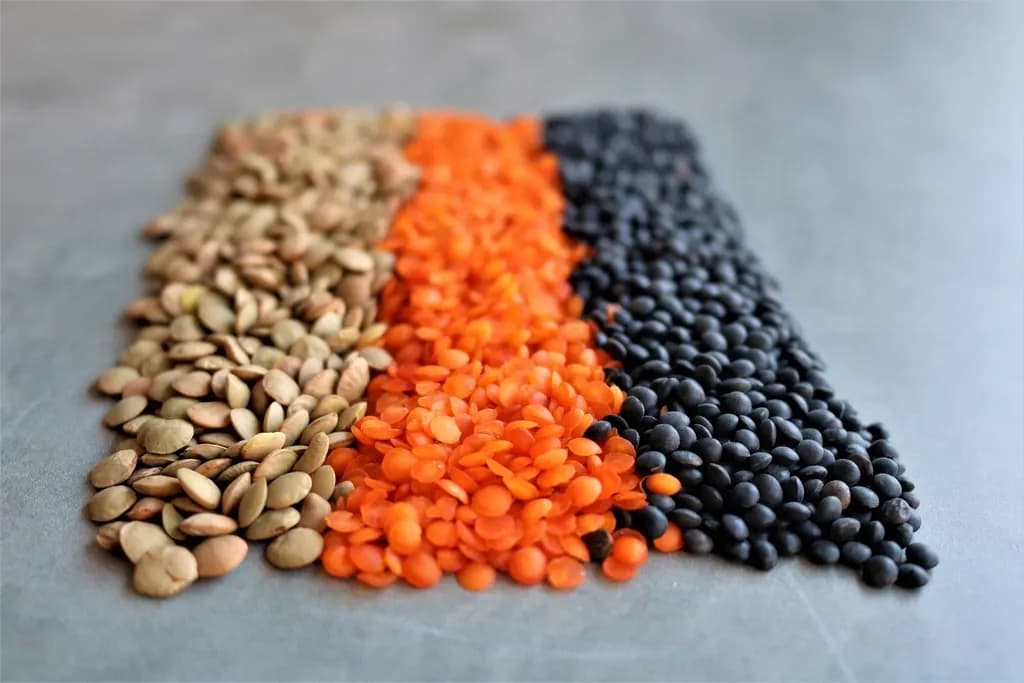 Green, red and black lentils sorted side by side